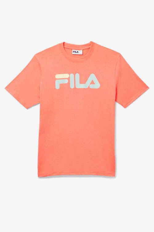 Fila Eagle Tee Majice Moški Oranžna | Fila581QO