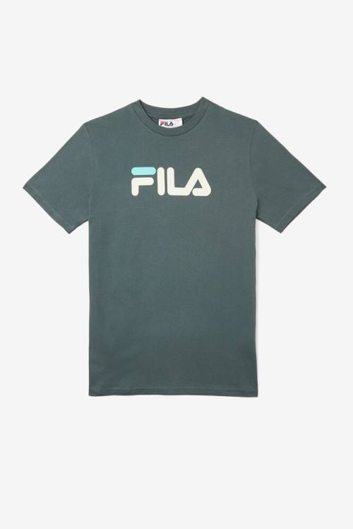 Fila Eagle Tee Majice Ženske Modra | Fila263XM