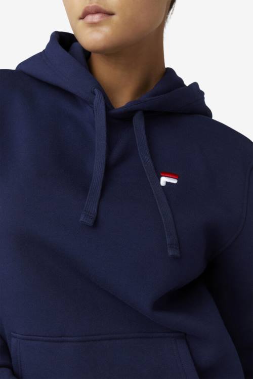 Fila Godfrey Pulover s kapuco Moški Mornarica | Fila254XS