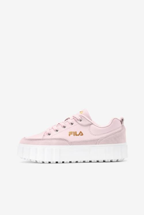 Fila Sandblast Low Superge Ženske Roza / Bela / Kovinski Zlato | Fila487FS