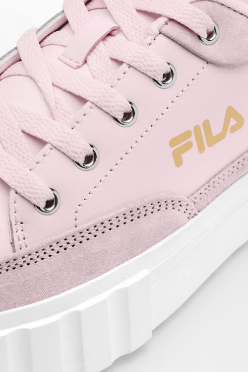 Fila Sandblast Low Superge Ženske Roza / Bela / Kovinski Zlato | Fila487FS